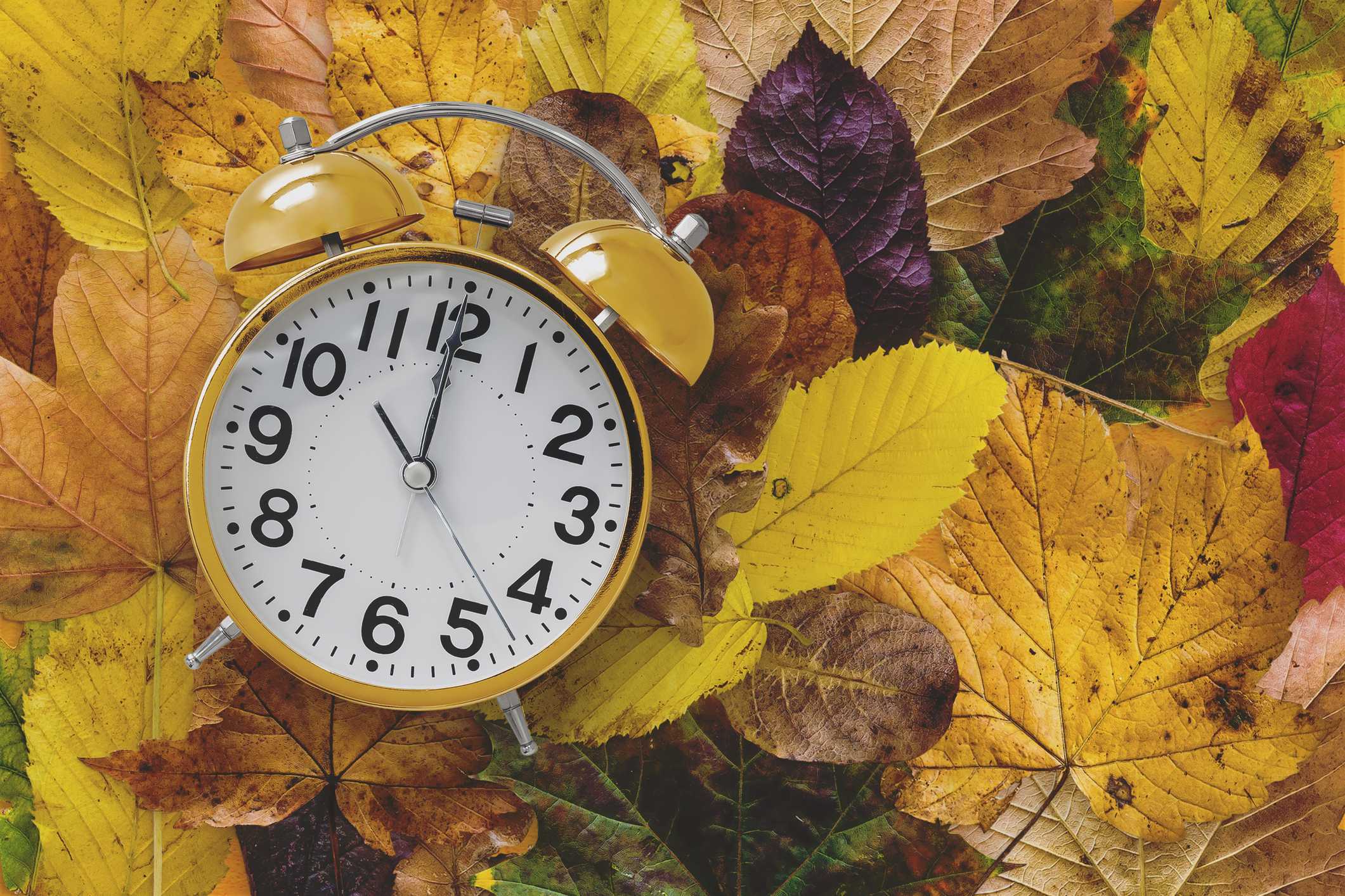 Fall back: Susquehanna Valley gets an extra hour of sleep  — Hershey Community news